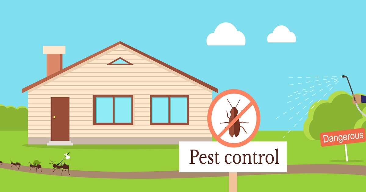 Pest Control Melbourne