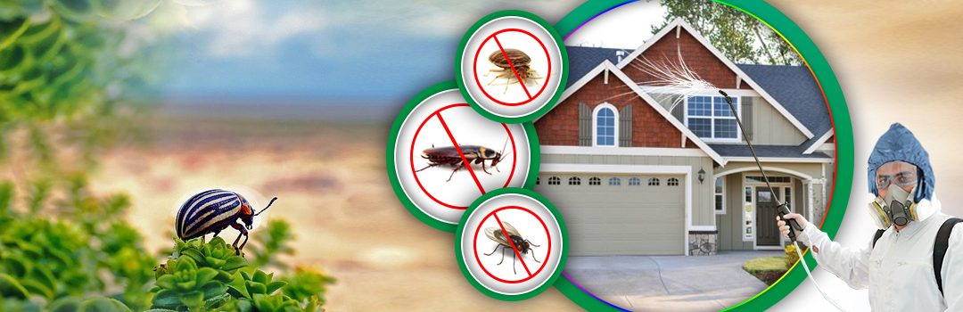 Pest Control Melbourne