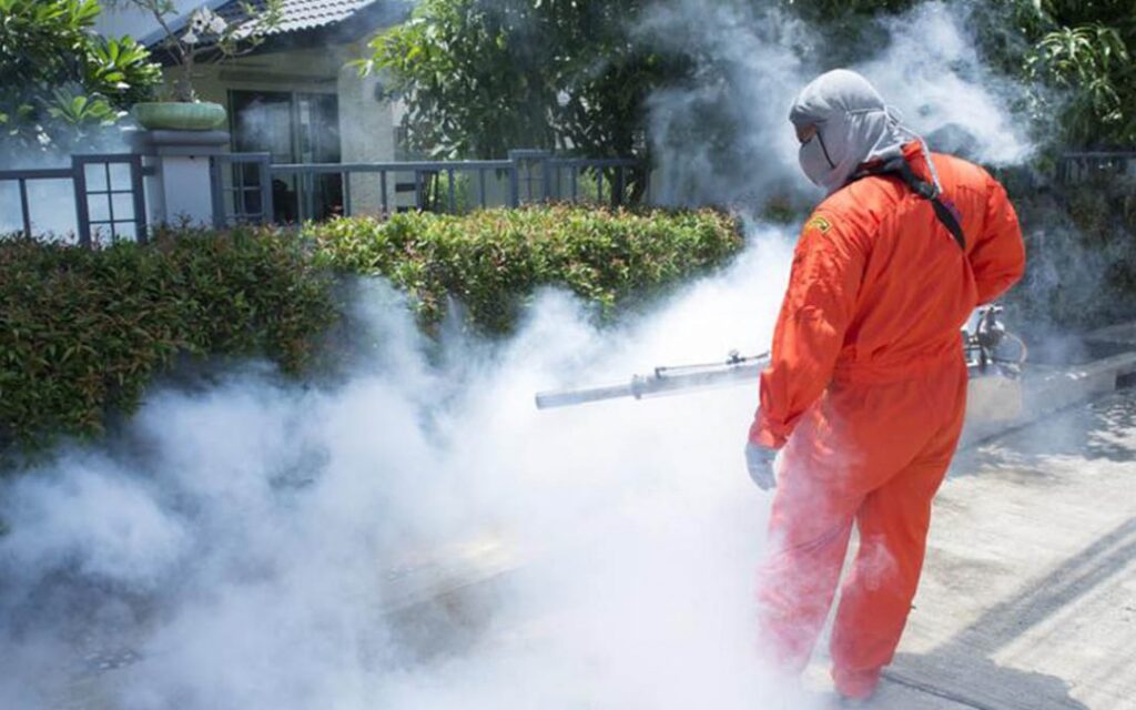 In Which Situation Should I Contact a Pest Control Company A Complete Guideline