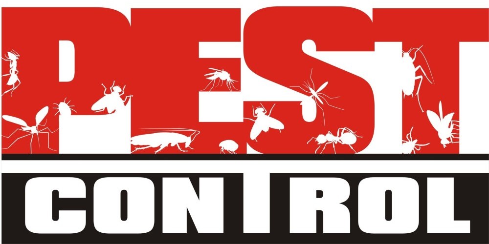 Pest Control Melbourne