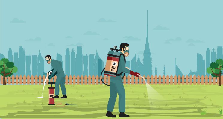 Pest Control Melbourne