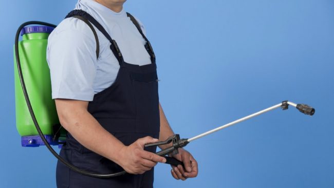 Pest Control Melbourne
