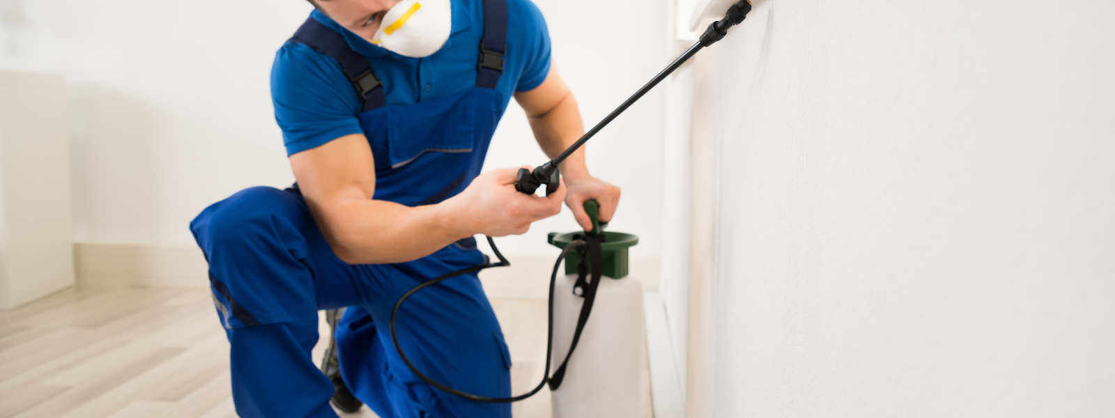 Pest Control Melbourne