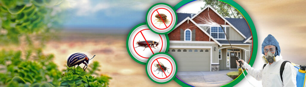 Some Pest Control Myths That You Shouldn’t Belive