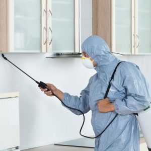 Pest Control Melbourne