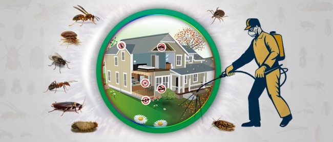Pest Control Melbourne
