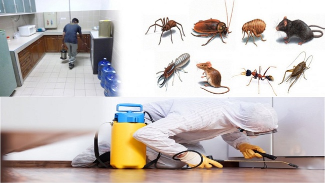 Pest Control Melbourne