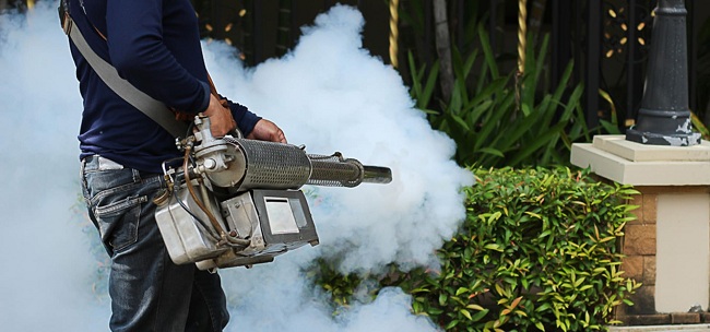 Pest Control Melbourne