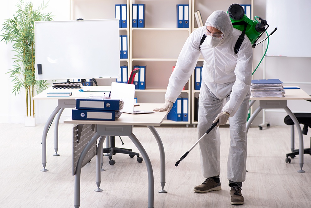 Pest Control Melbourne