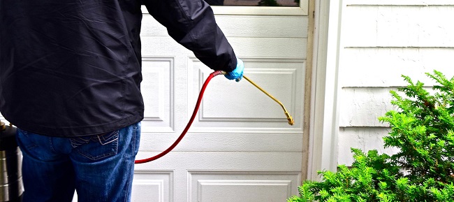 Pest Control Melbourne