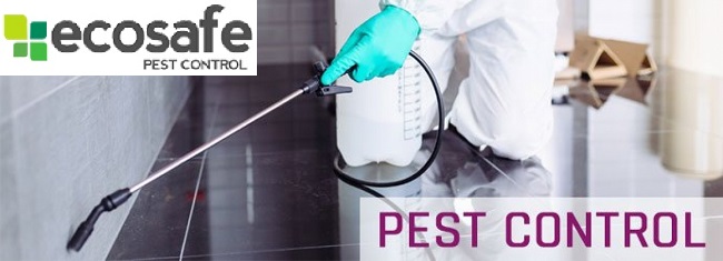 Pest Control Melbourne
