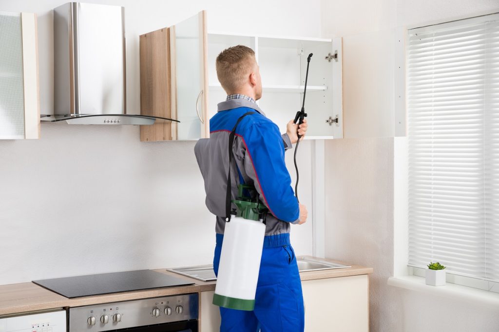 Pest Control Melbourne
