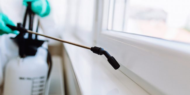 Pest Control Melbourne