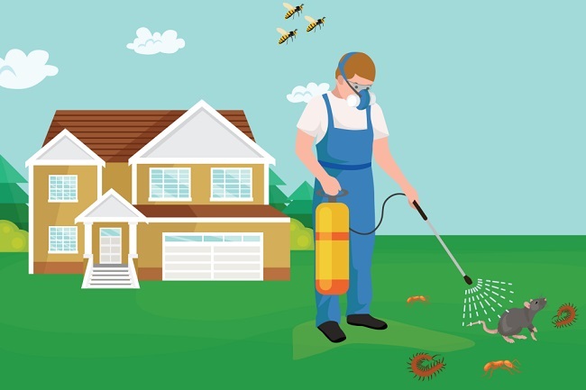 Melbourne Pest Control