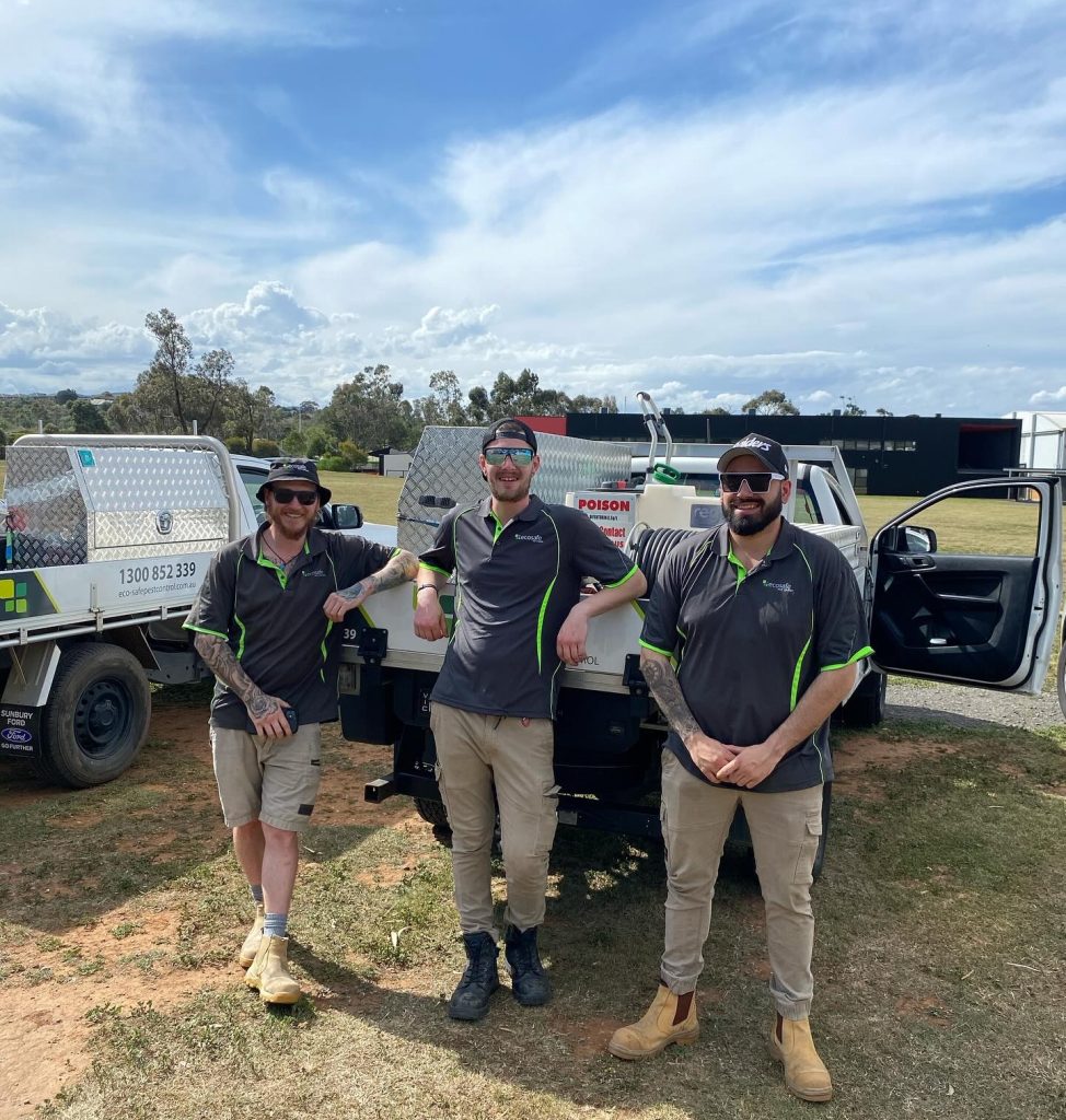 Eco Safe Pest Control technician inspecting a Melbourne home