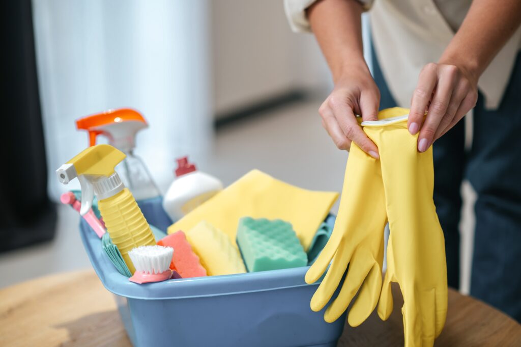 Spring Cleaning Guide: How to Make Your Home Truly Pest Free