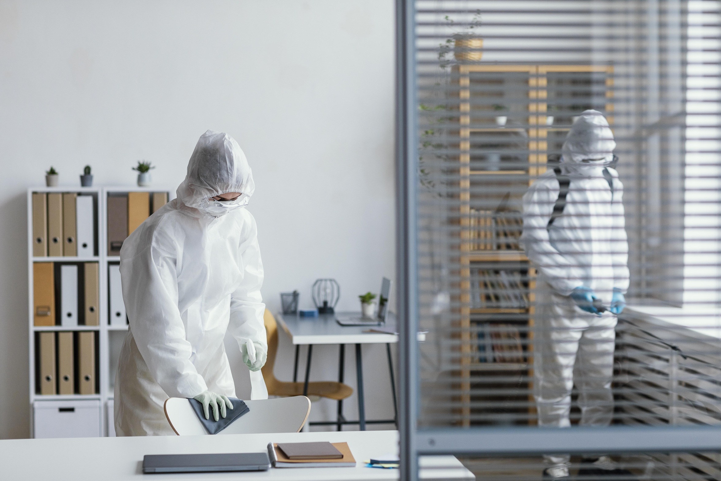 office pest inspection